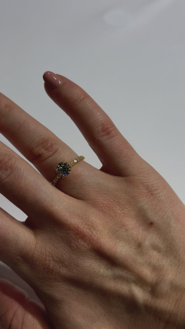 Solitaire Round Diamond Engagement Ring with Side Stones on body